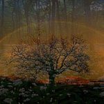 Corso di Rebirthing e Breathwork